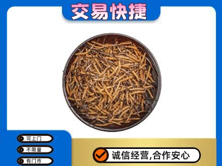 怒江回收散虫草